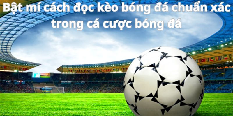 Mẹo đánh rồng hổ - Hướng dẫn từ A đến Z để thành công 8 Bật mí cách đọc kèo bóng đá chuẩn xác trong cá cược bóng đá
