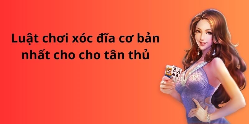 Mẹo đánh rồng hổ - Hướng dẫn từ A đến Z để thành công 10 Luật chơi xóc đĩa cơ bản nhất cho cho tân thủ